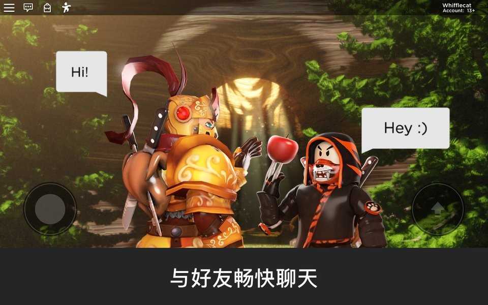 罗布乐思国际服(1)