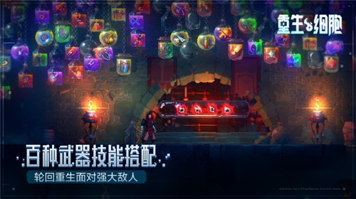 重生细胞(永久免费内购)无广告下载
