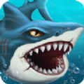 鲨鱼世界安卓版