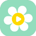 雏菊影视软件免费版