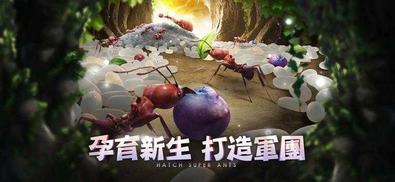 小小蚁国(1)