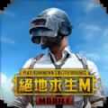 pubg国际服手游官方版