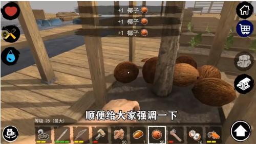 孤舟求生中文版