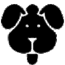 磁力狗最新版免费版